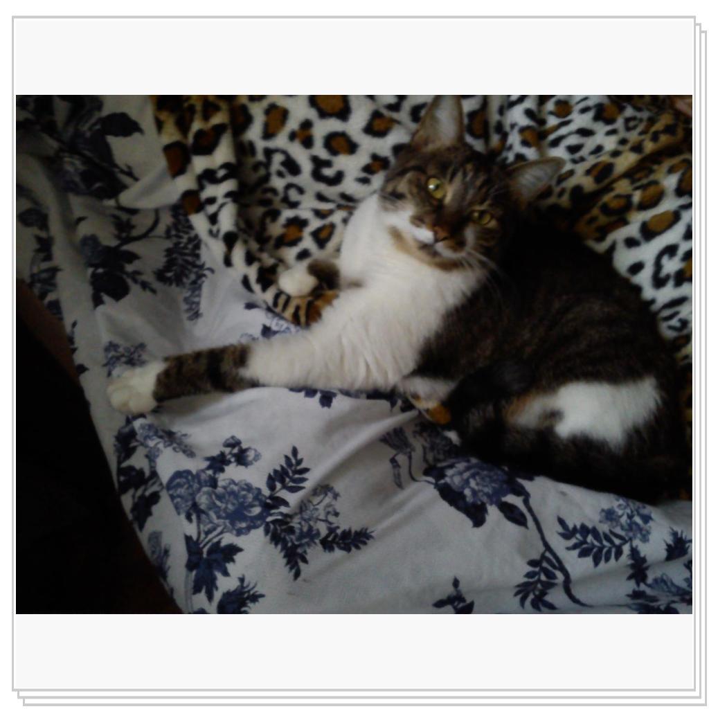 малышка Мила