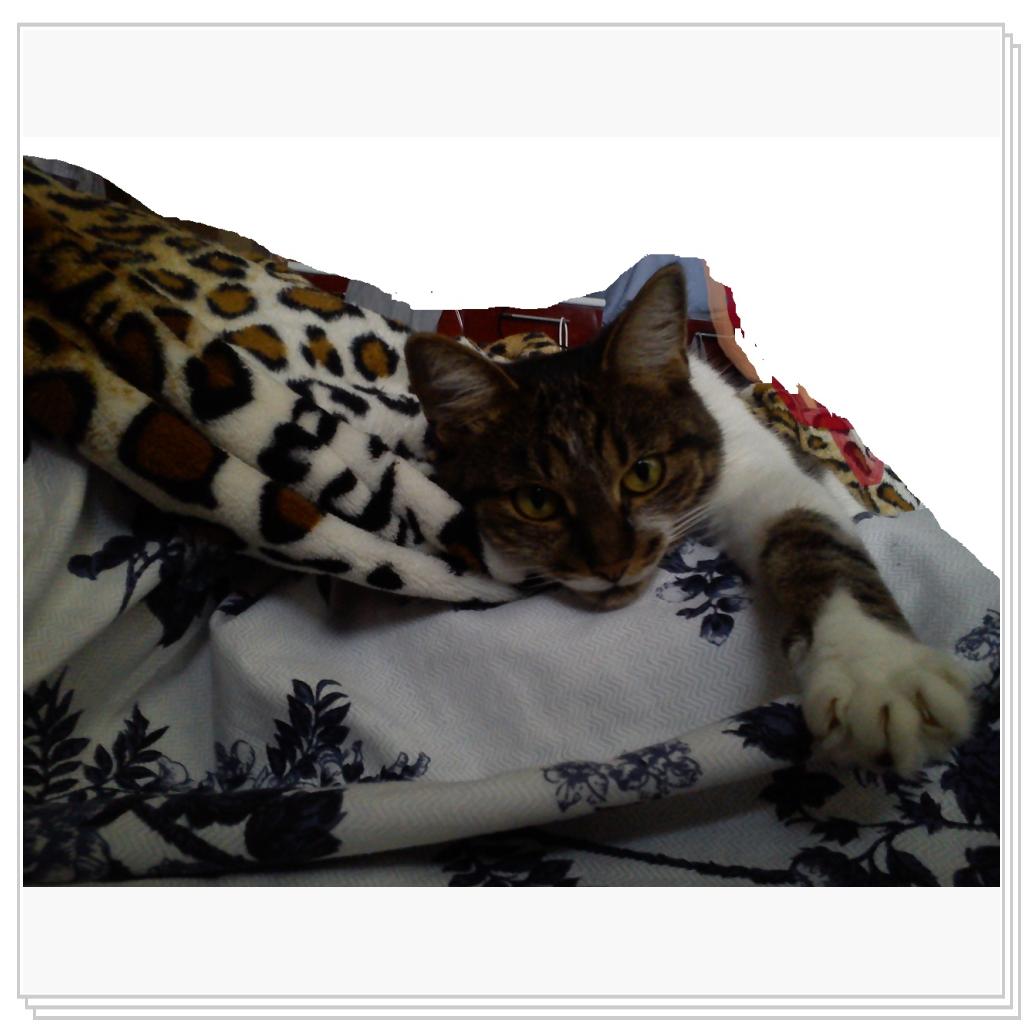 малышка Мила