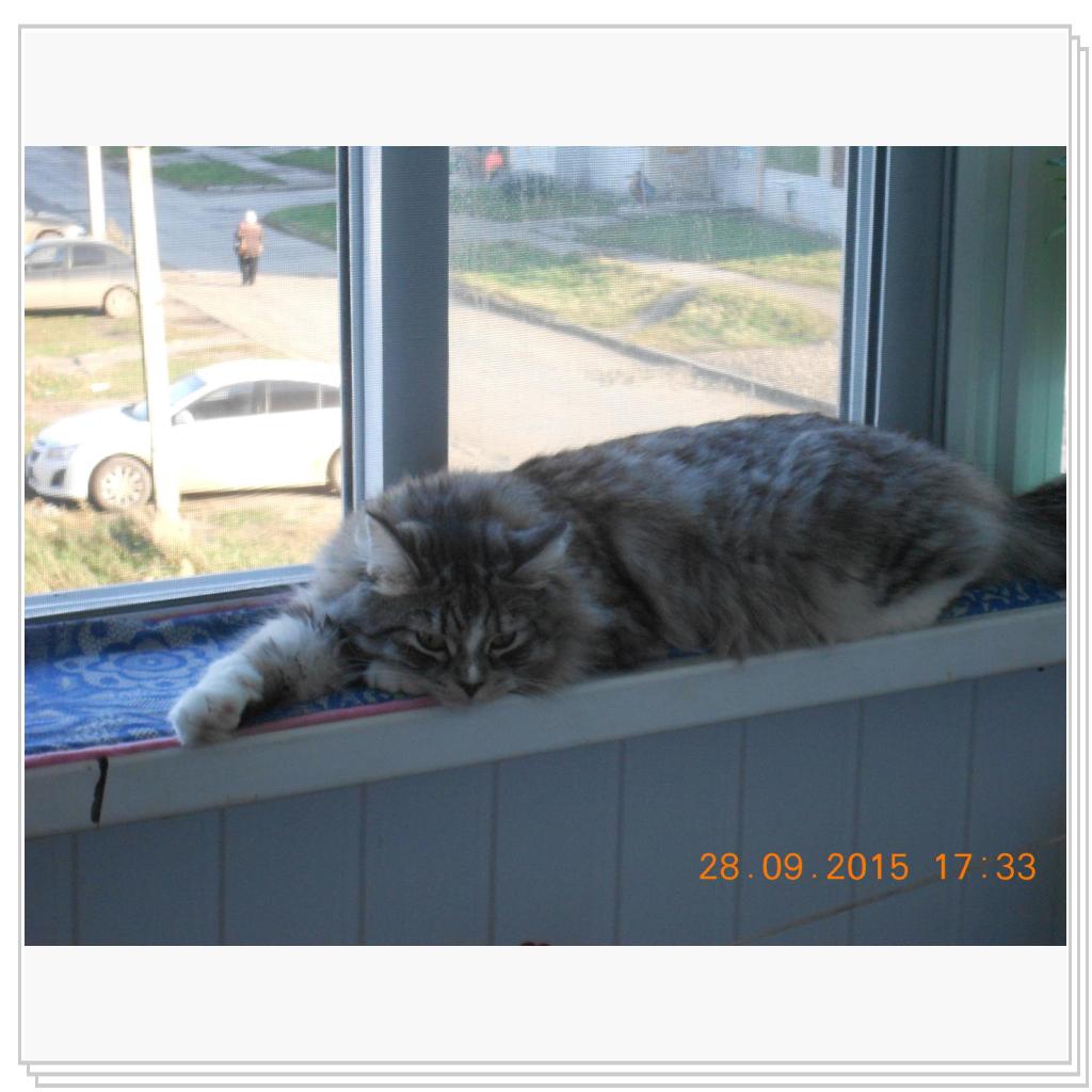 Тишка вот он