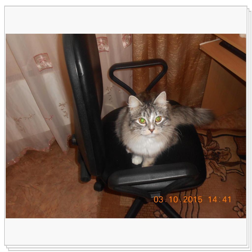 Тишка вот он