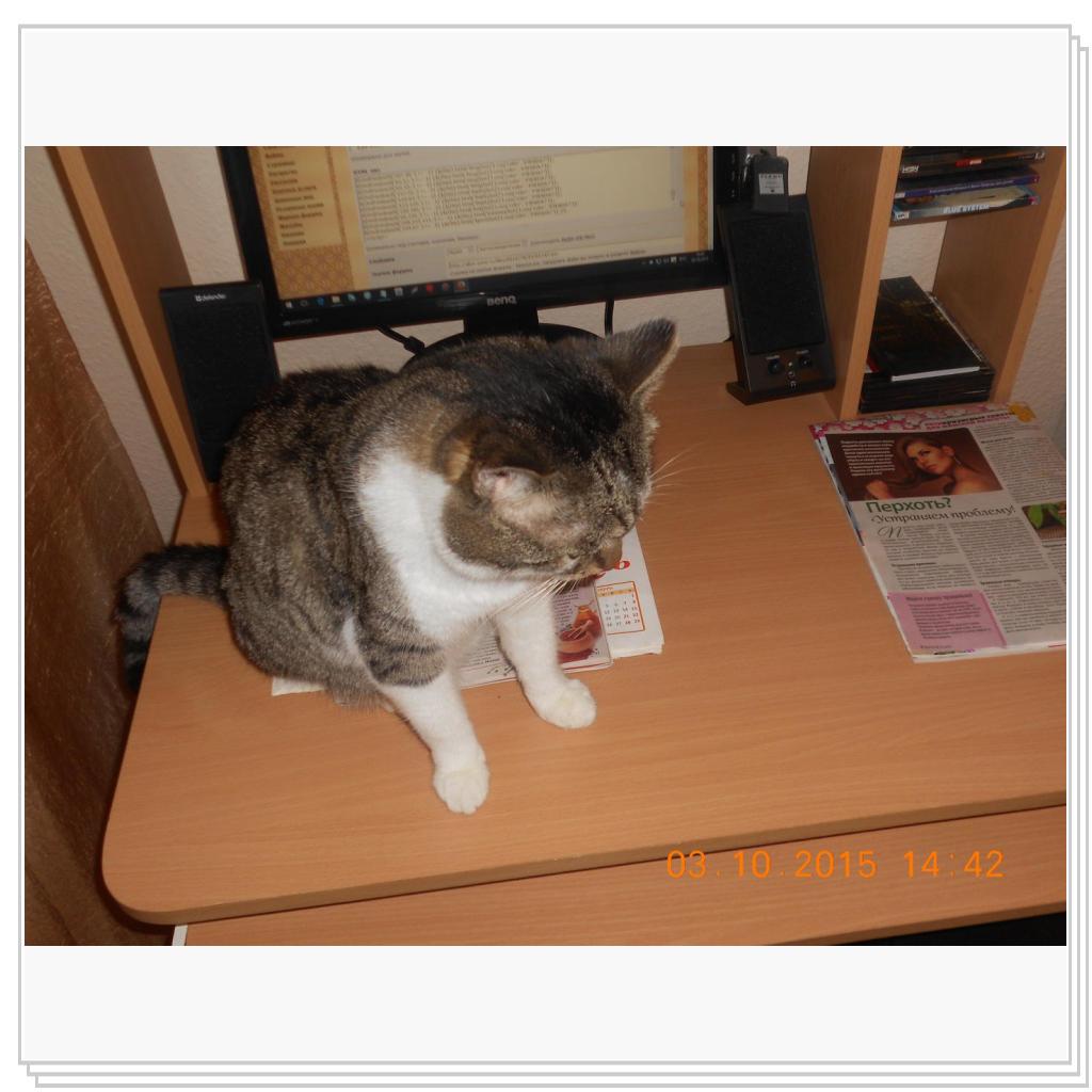 Тишка вот он