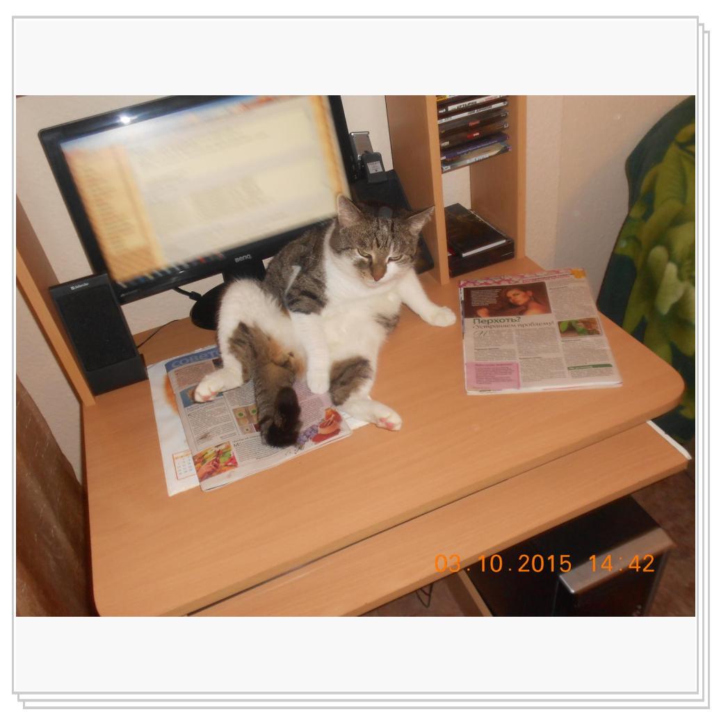 Тишка вот он