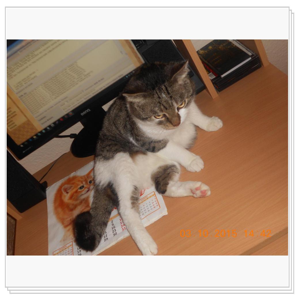 Тишка вот он