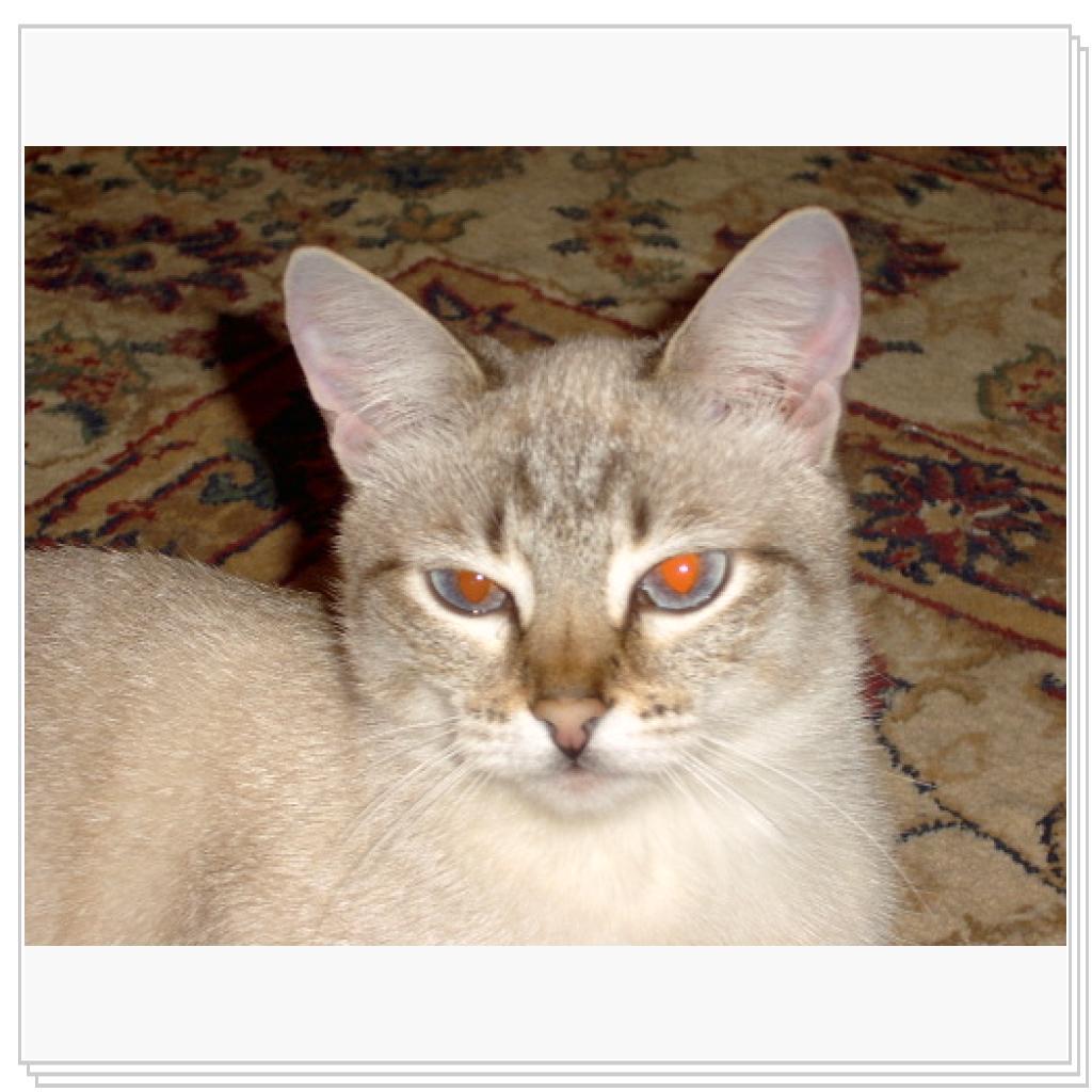 Дынча-красавица