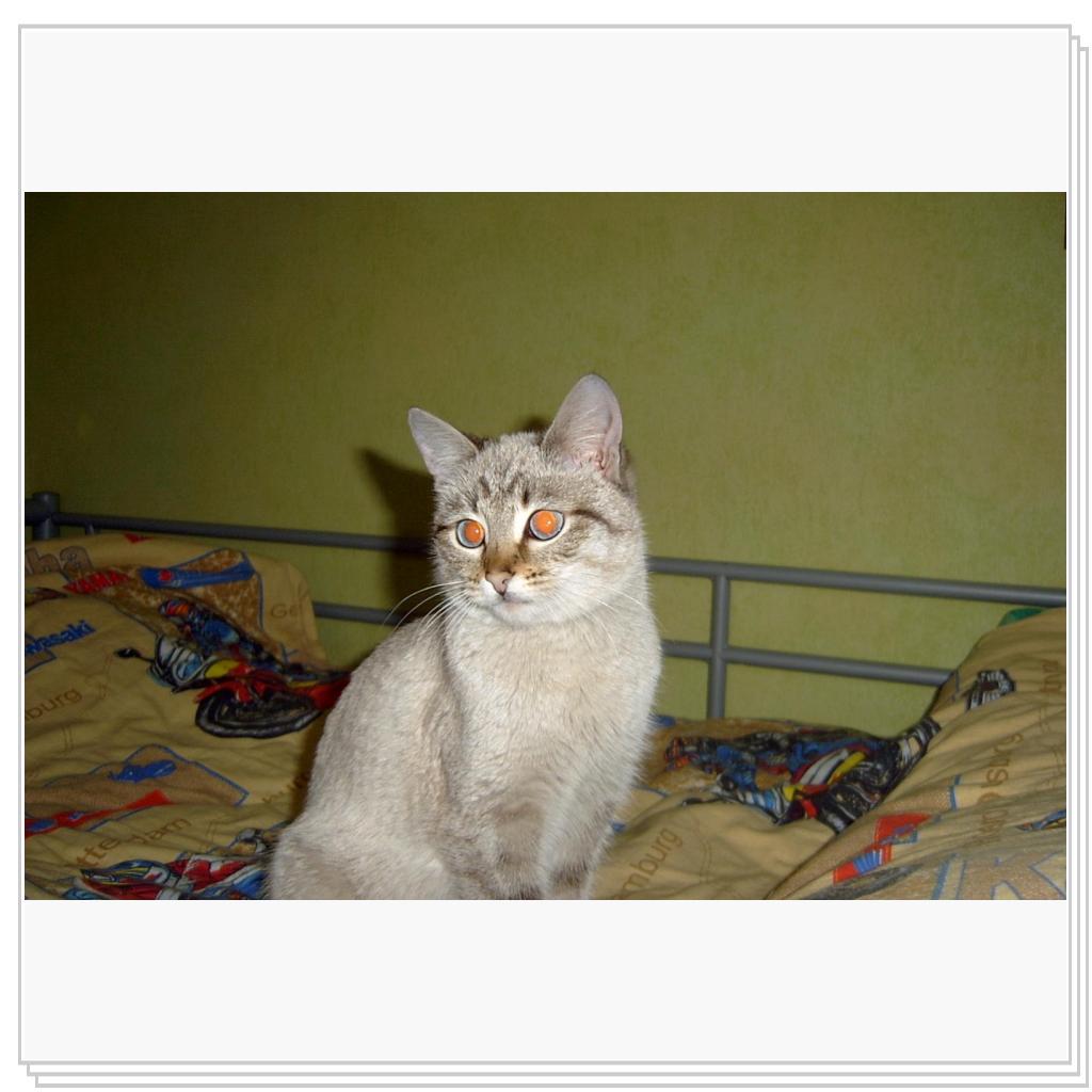 Вот такая я красивая!