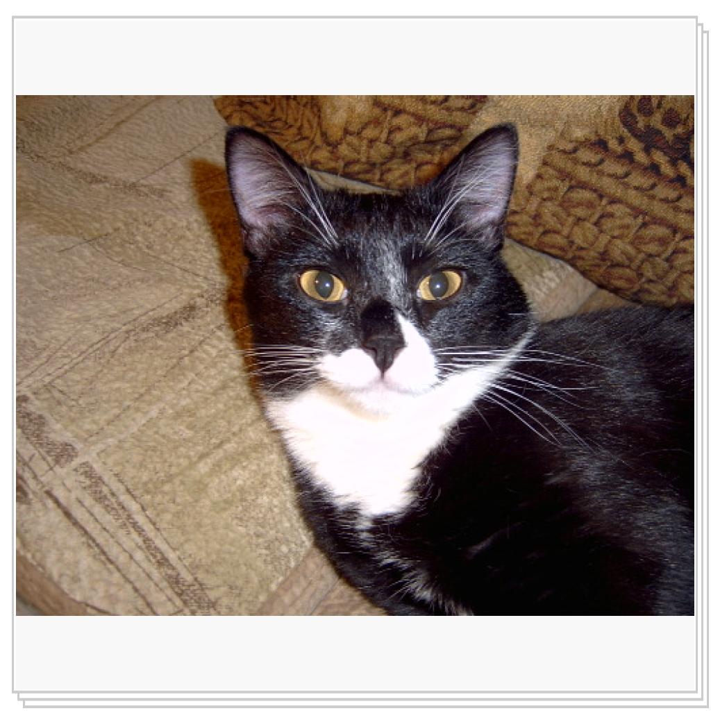 Джима подросла, похорошела