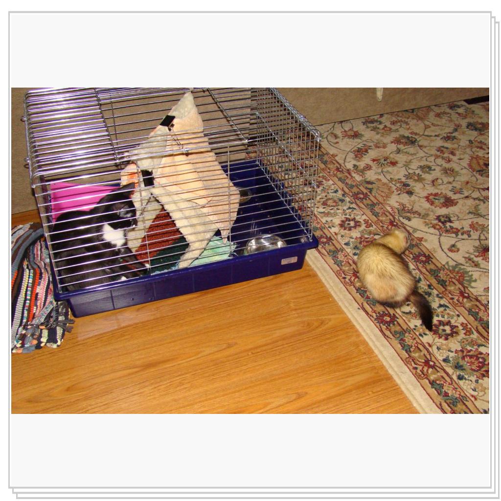 Джима в безопасности