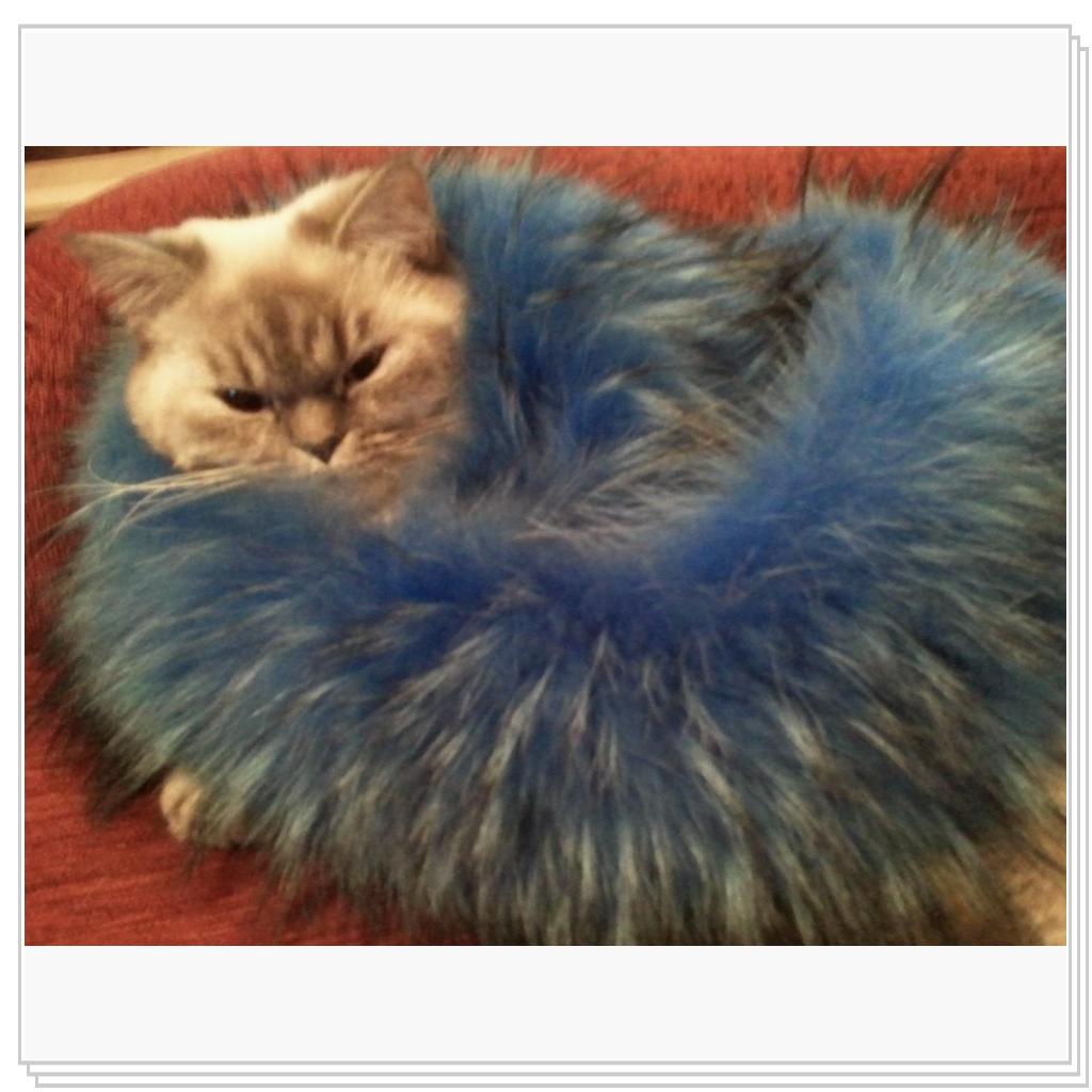 Настоящая женщина любит меха))