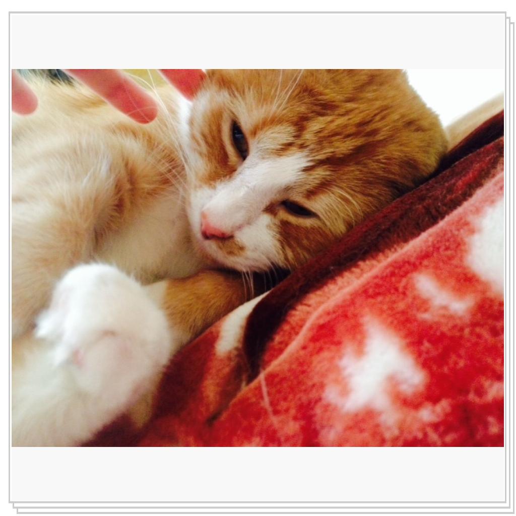 И ещё Сёмка