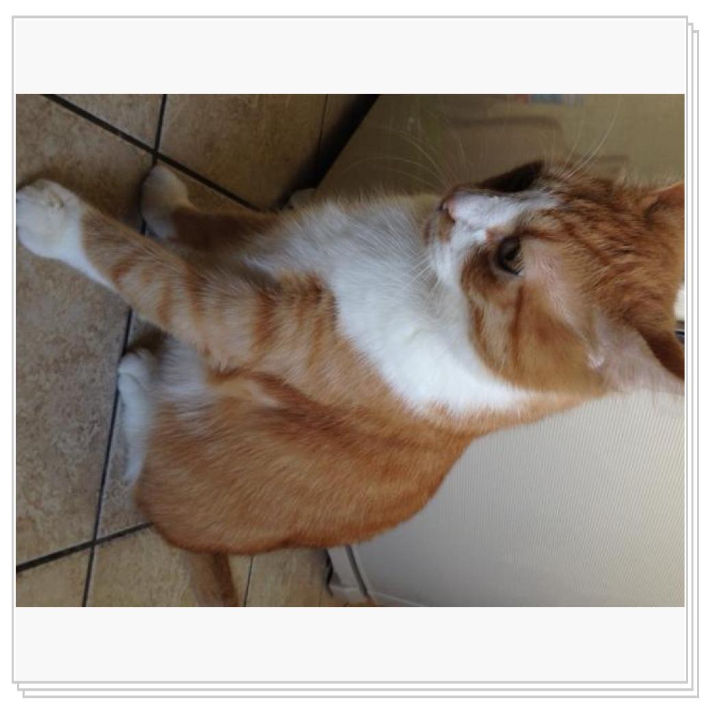 Сема ждет еды