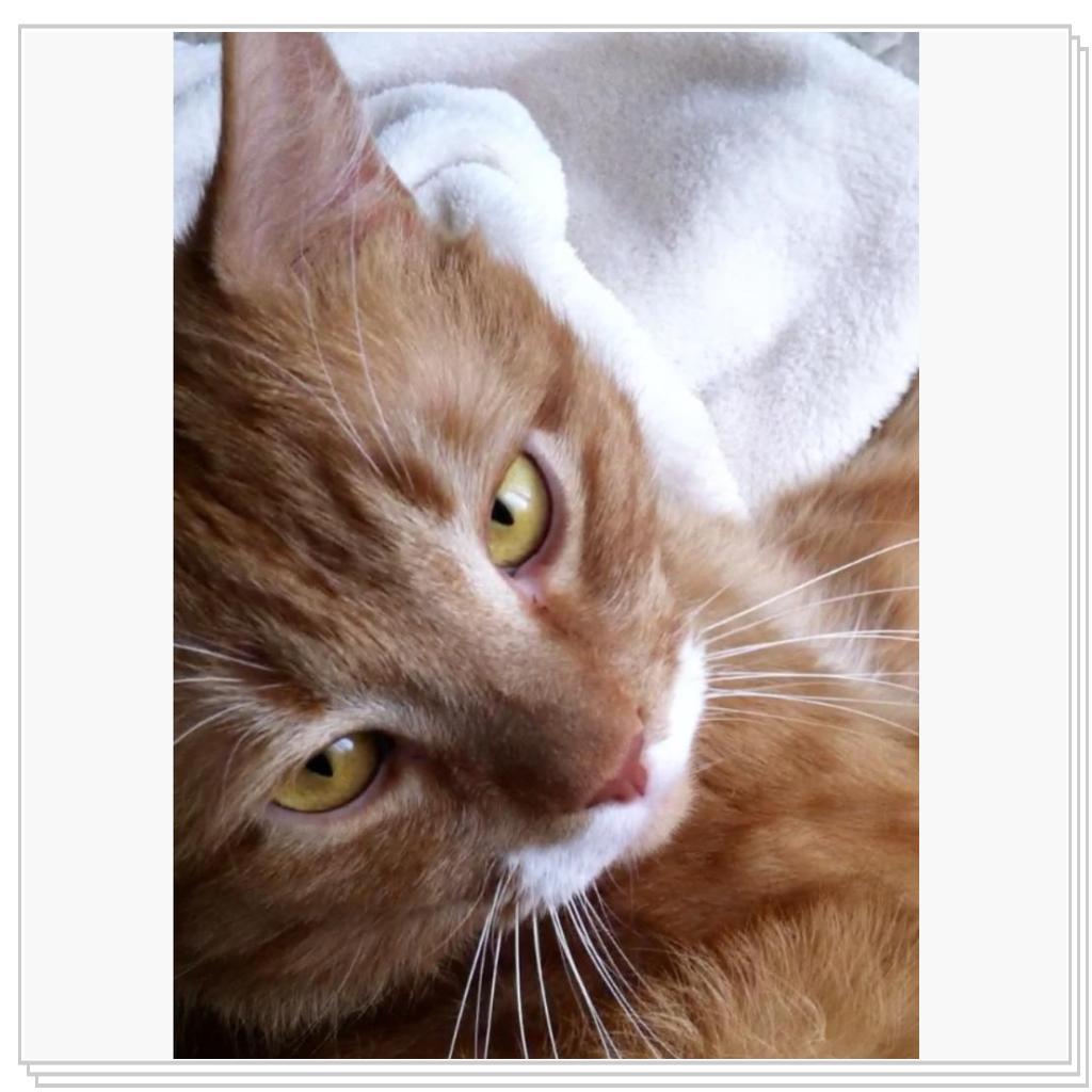 Рыжевский -кокетничает