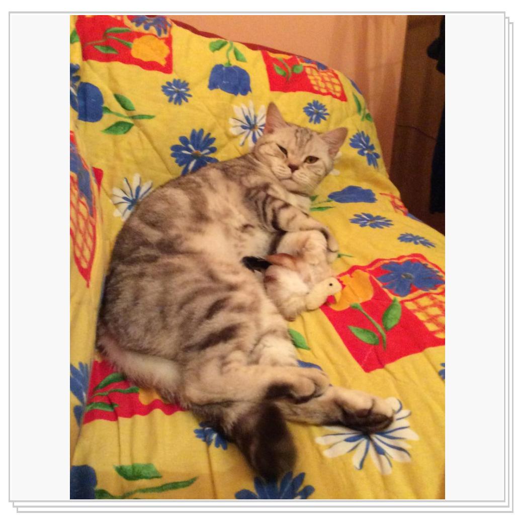 Наша Юлисса