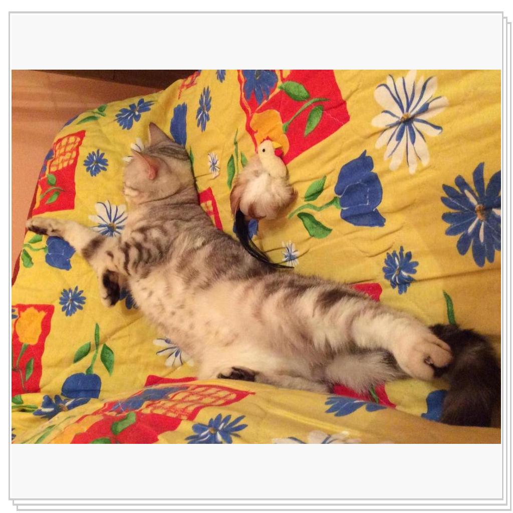 Наша Юлисса