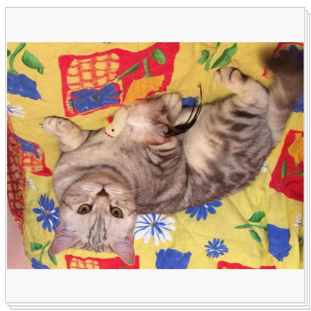 Наша Юлисса