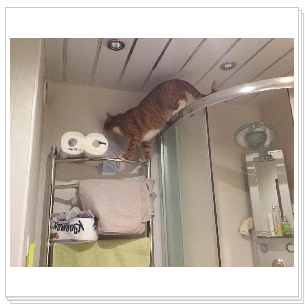 Поручик Рыжевский