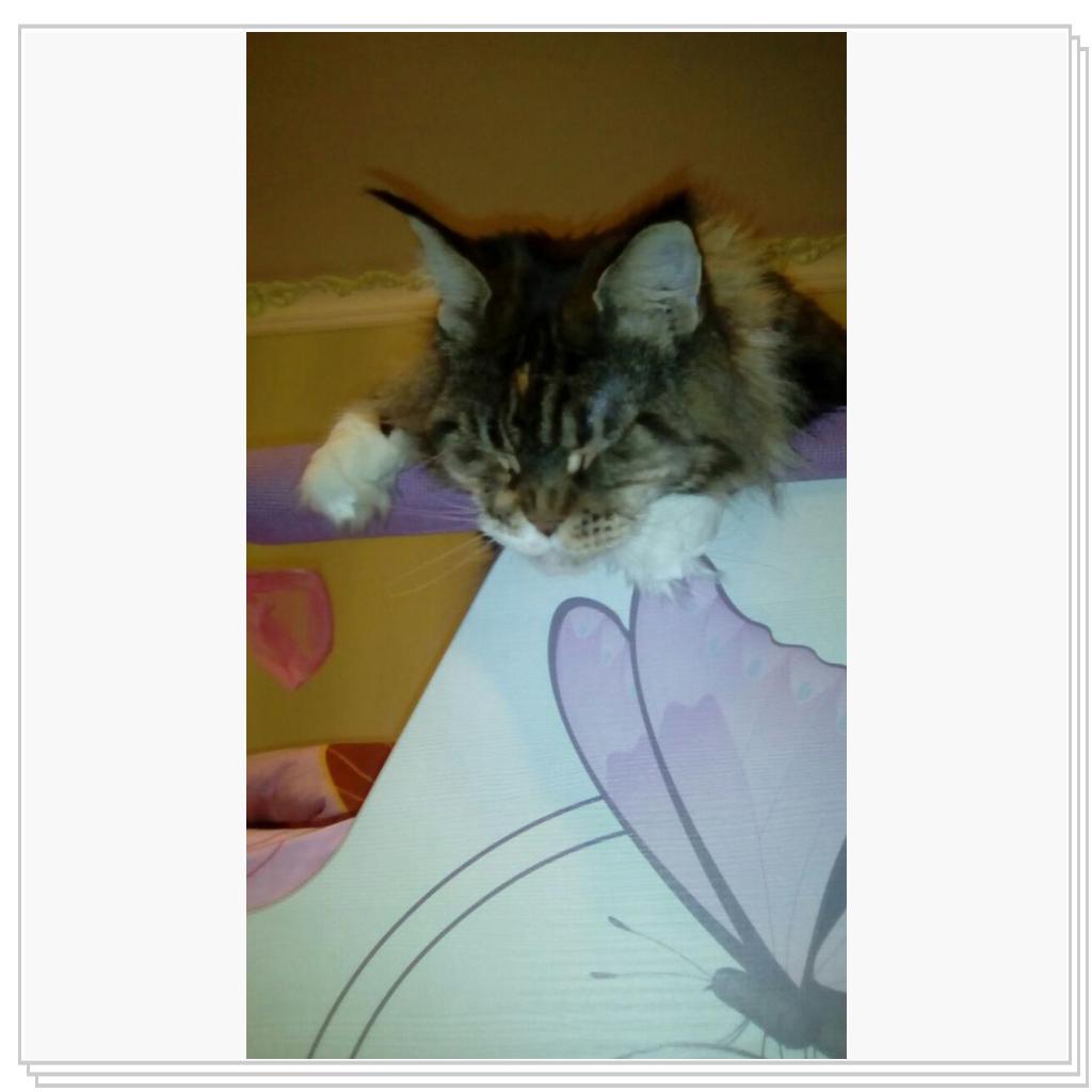 спят усталые игрушки