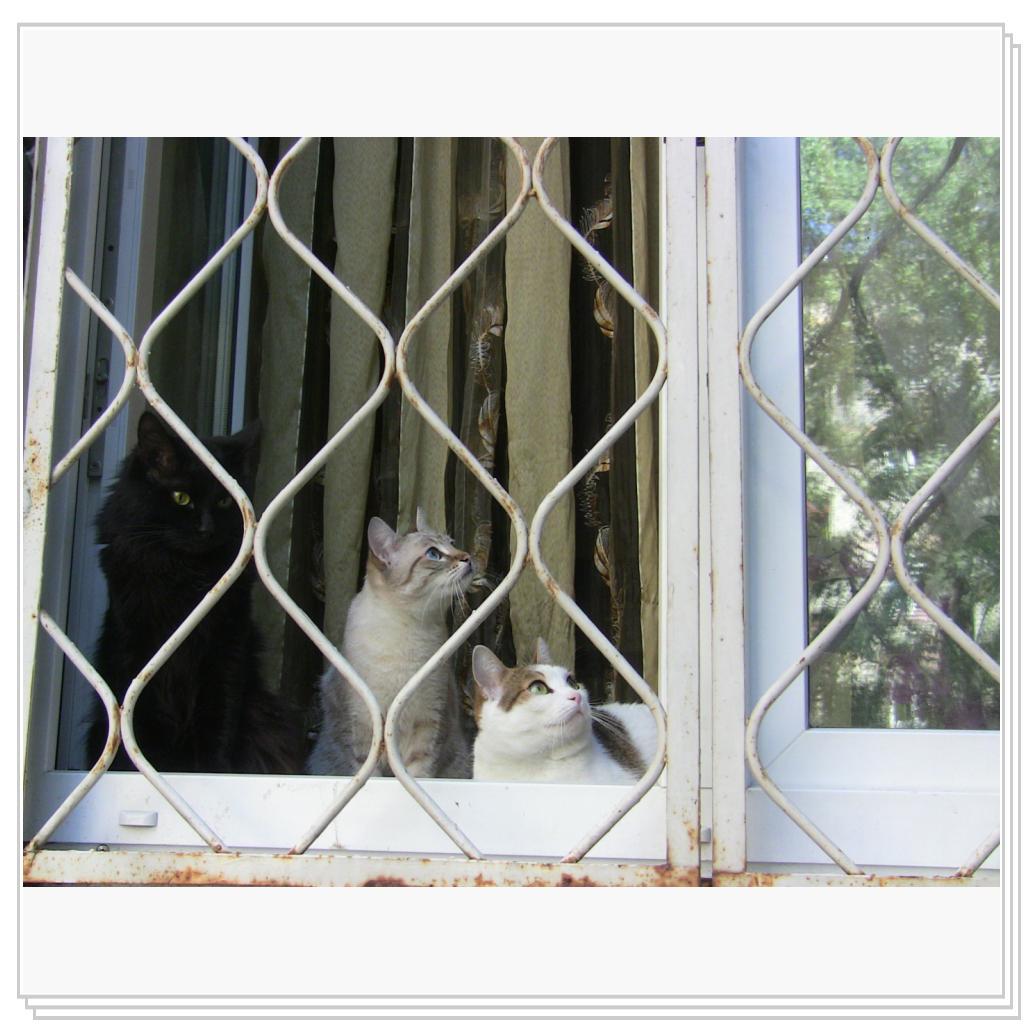 Сидим за решеткой)))