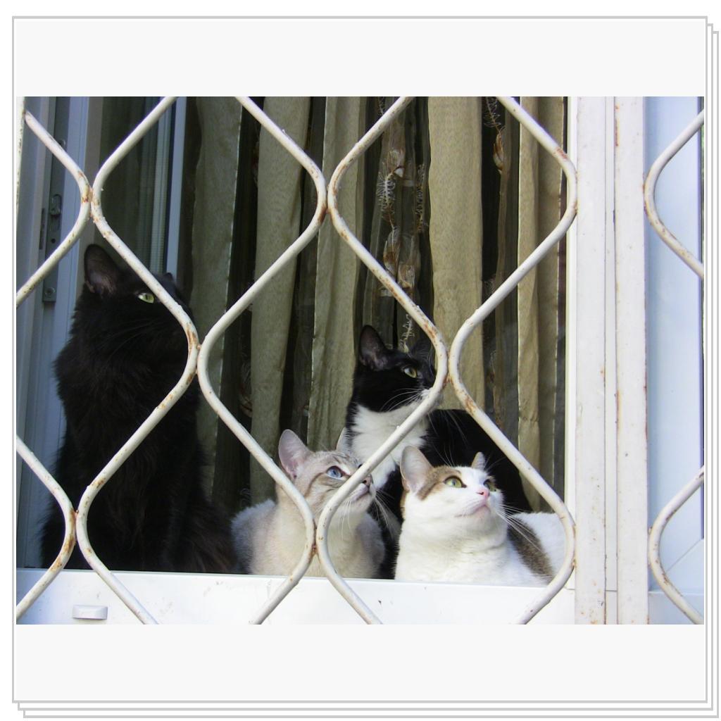 Сидим за решеткой)))