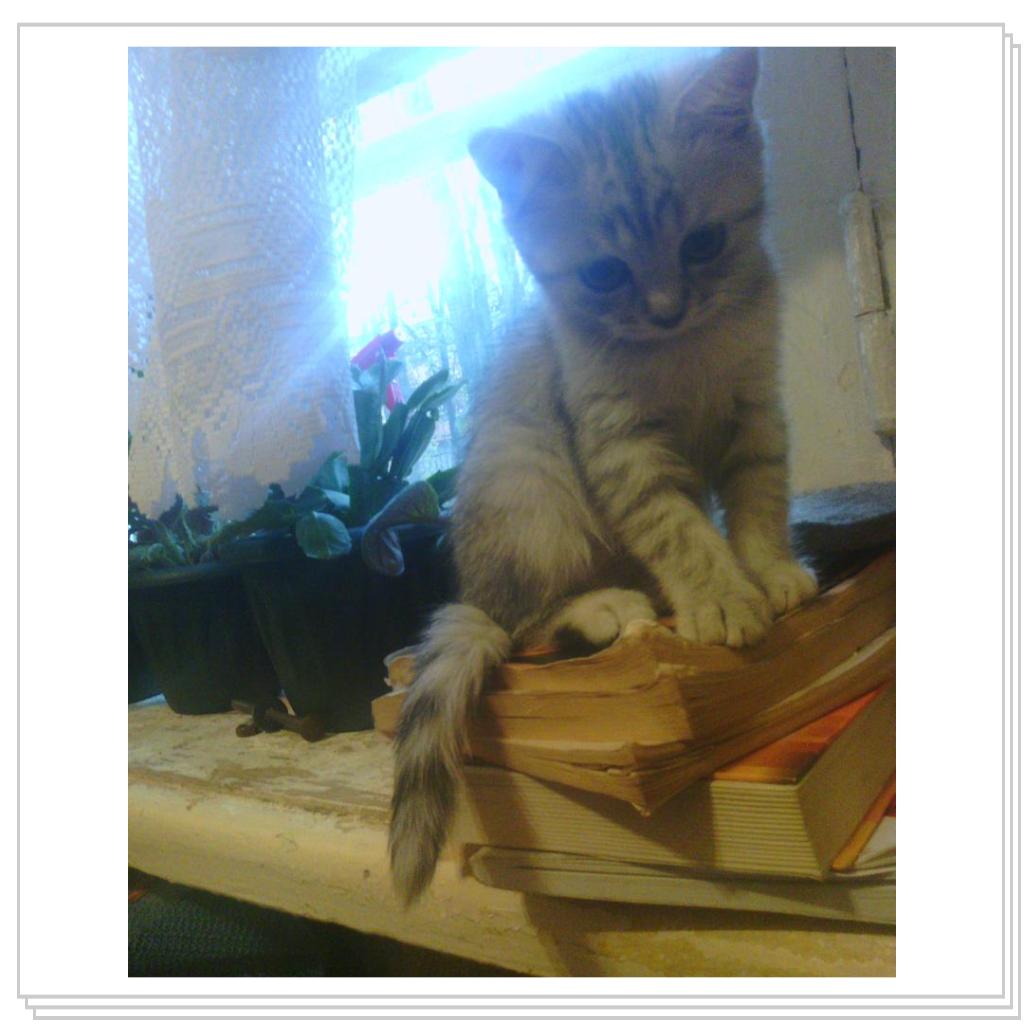 Снежана маленькая