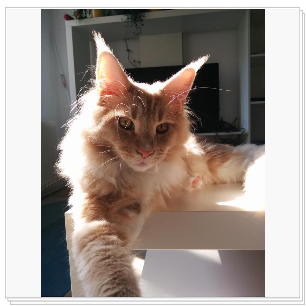 Себастиян 8 мес