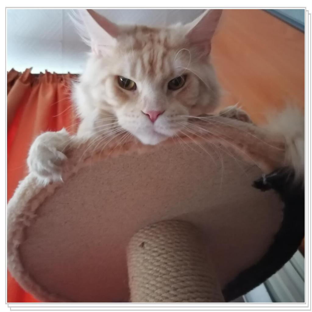 ...и так тоже любим фоткаться...