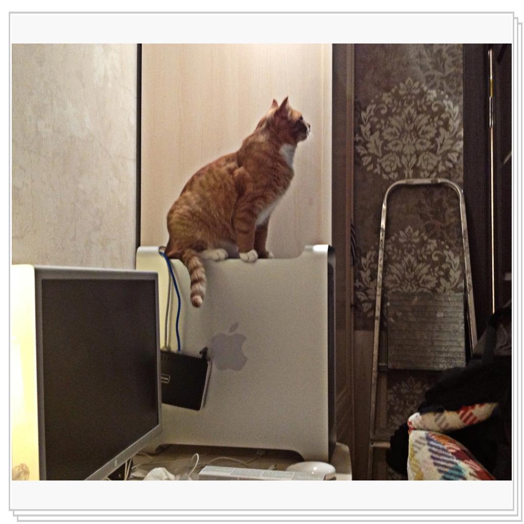 Рыжевский на системном блоке