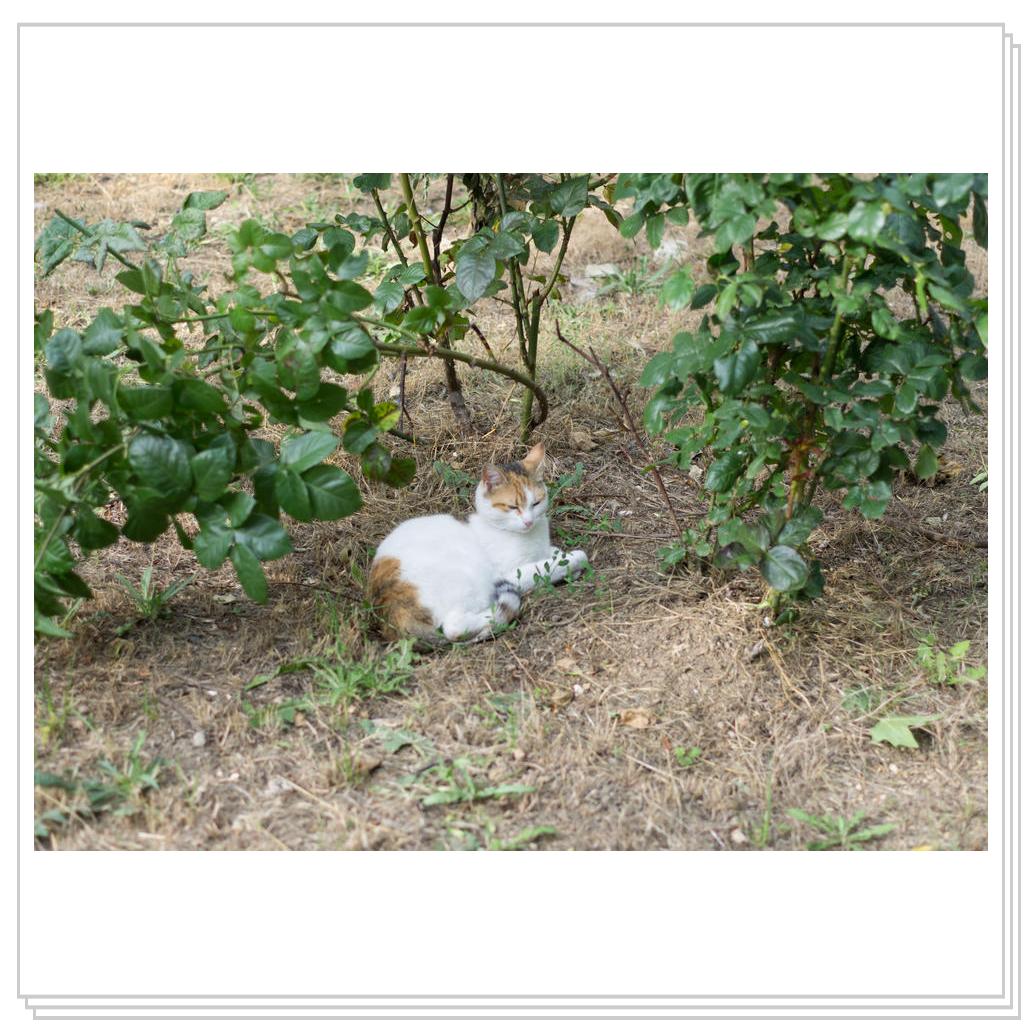 Севастополь