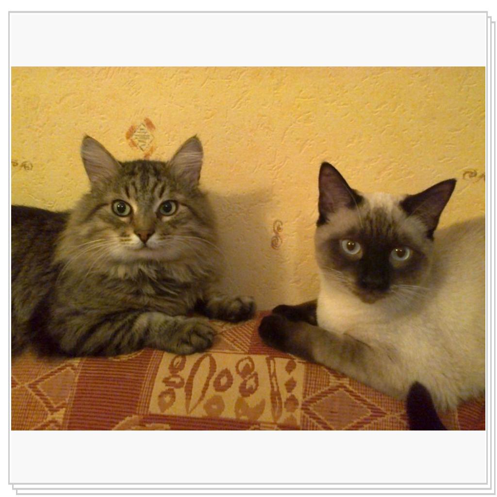 Кузьма и Марс