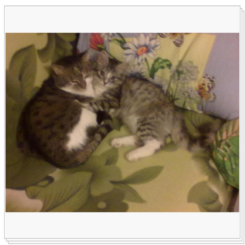 Снова Тихон