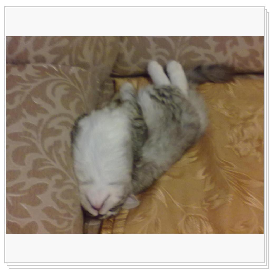 Снова Тихон