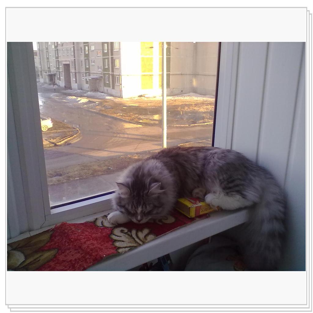 Парнишка в штанишках