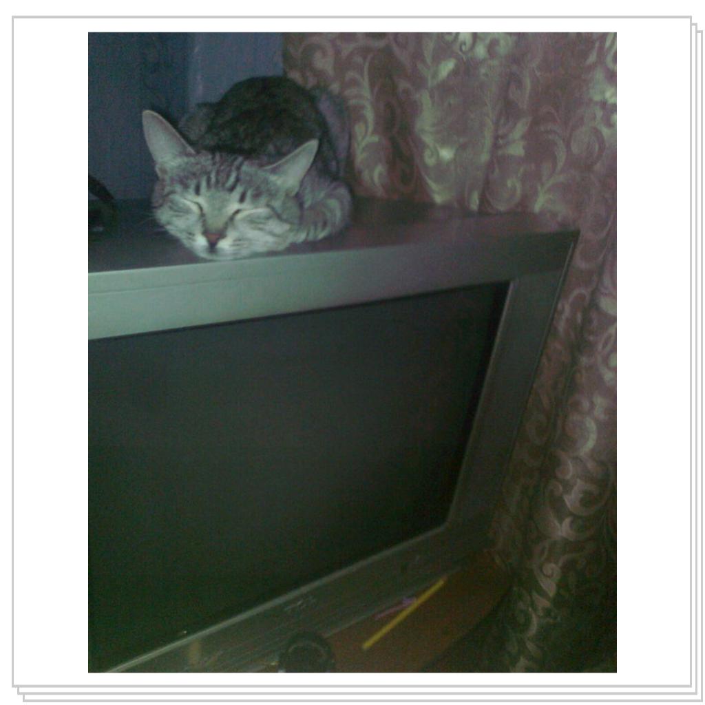 моя Соничка