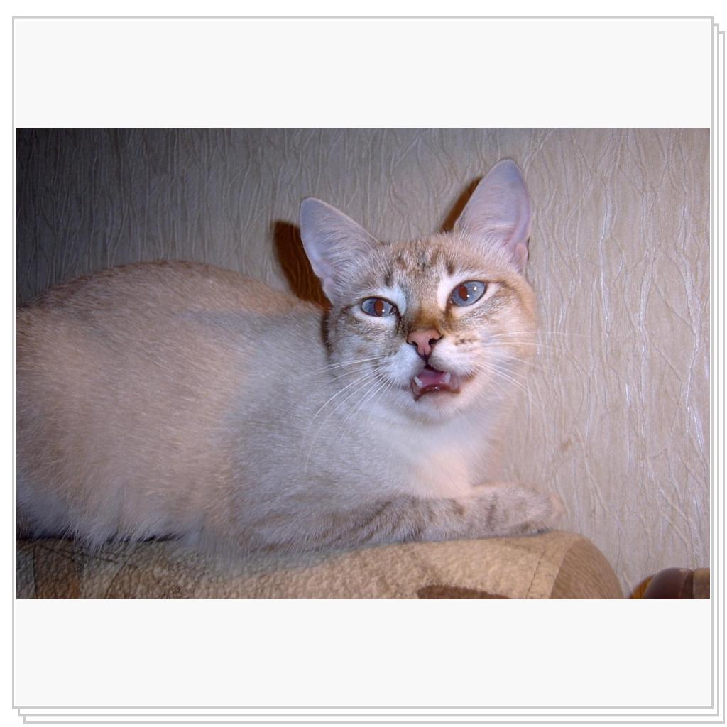 Мамуль, ты чего-то хотела, да?