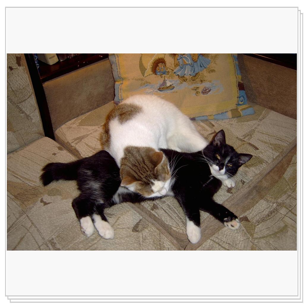 Дася и Джима. Мягонько так)))