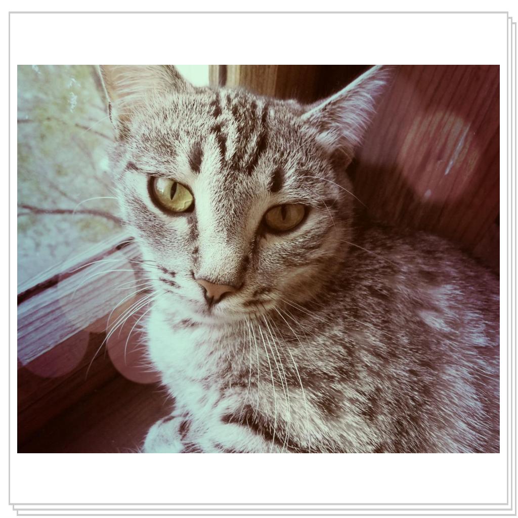 моя Соничка