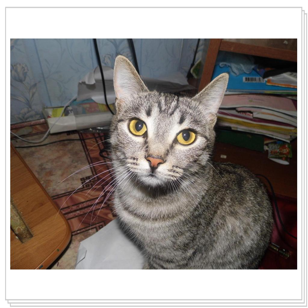 моя Соничка