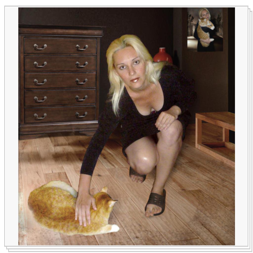 не обижайте кошек!