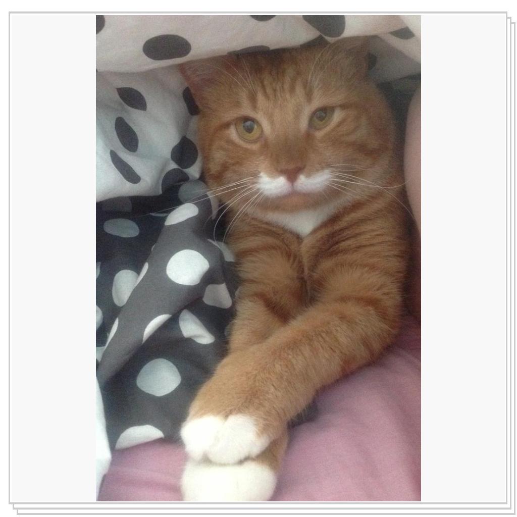 Мягко, спокойно и тепло...