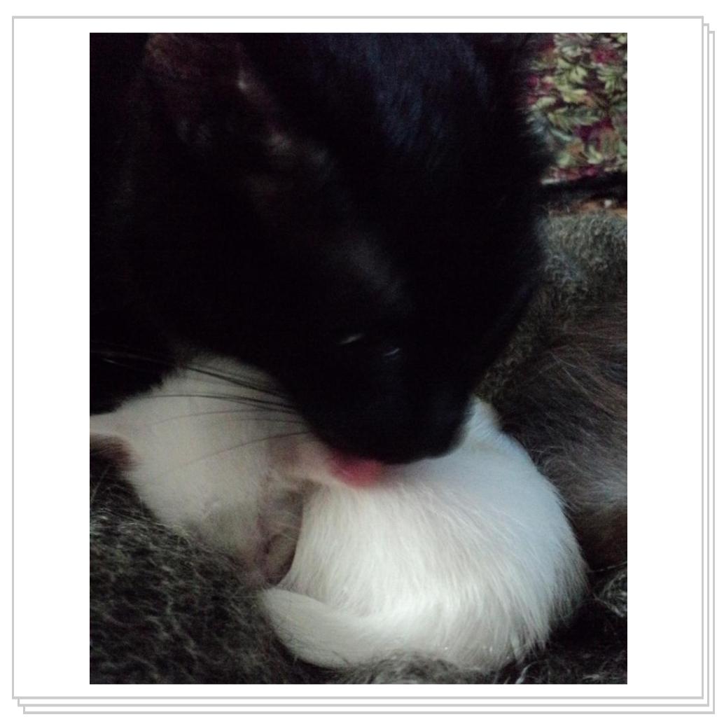 Бабушка и внучек