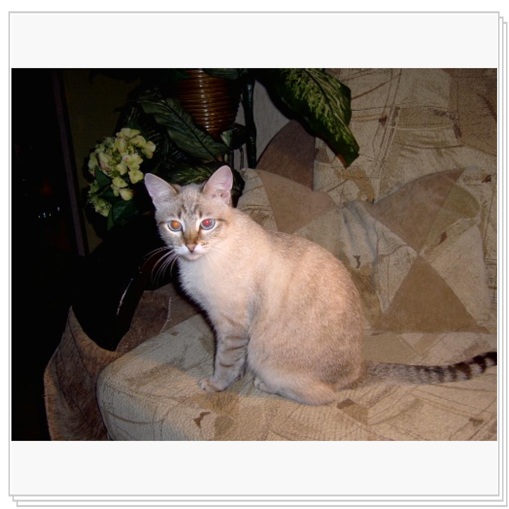 Теперь я здесь живу)))