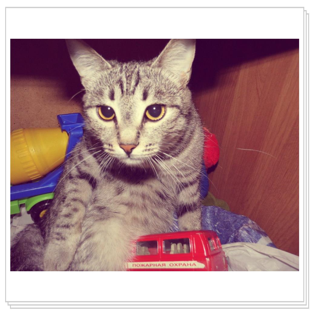 моя Соничка