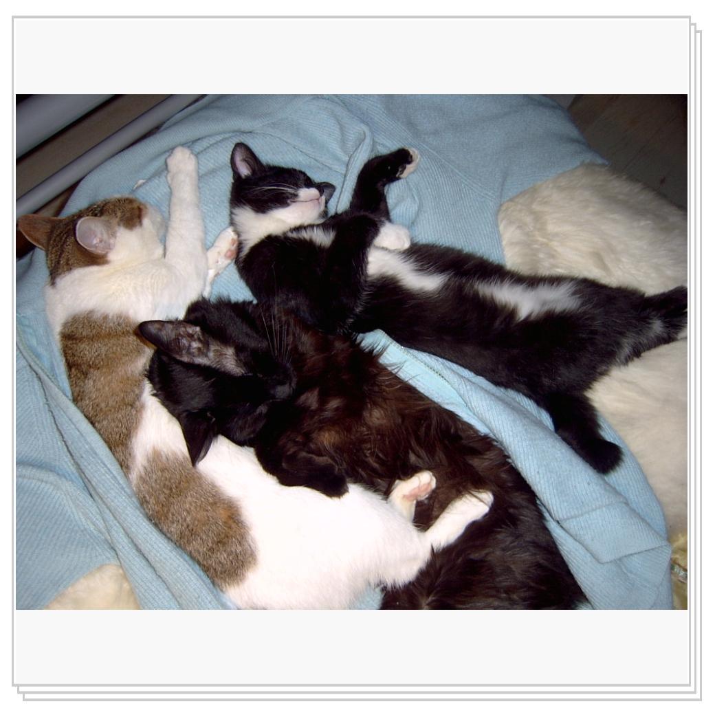 Хороший сон-залог здоровья!