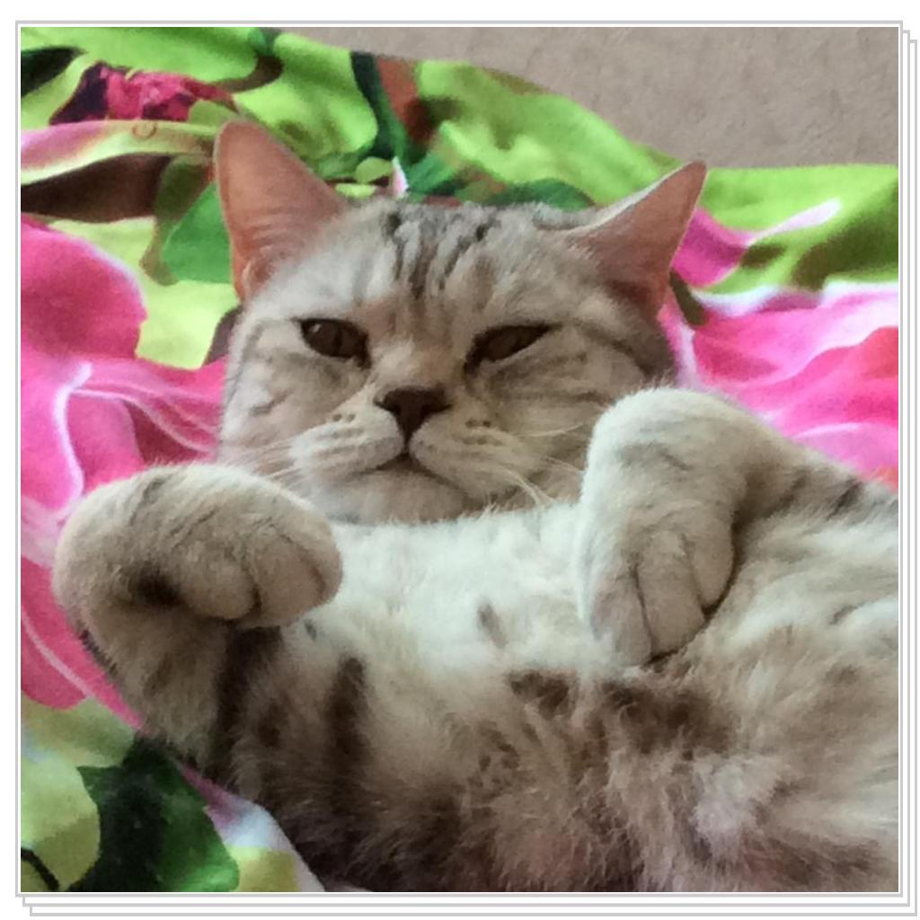 Наша Юлисса