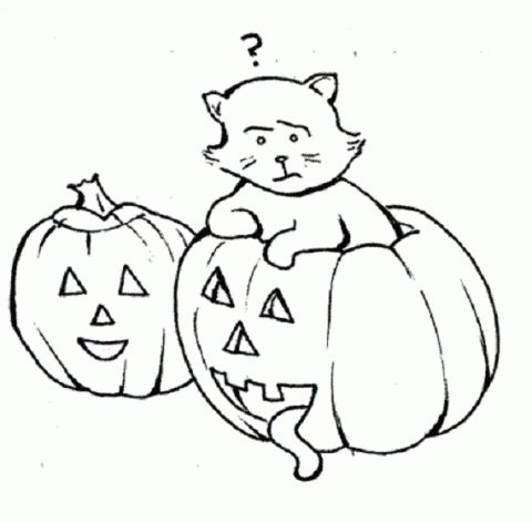 Кот хэллоуин. Часть вторая.