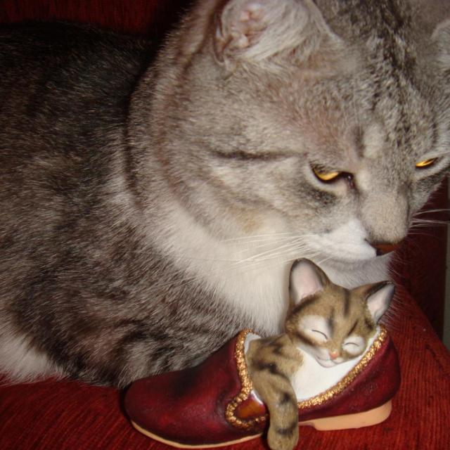Кошки)))