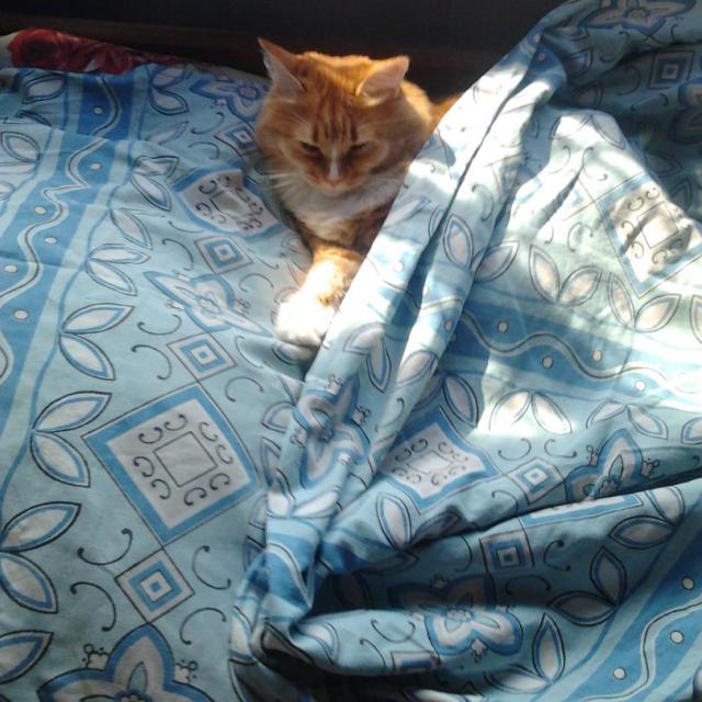 Нюша после трудового дня в деревне